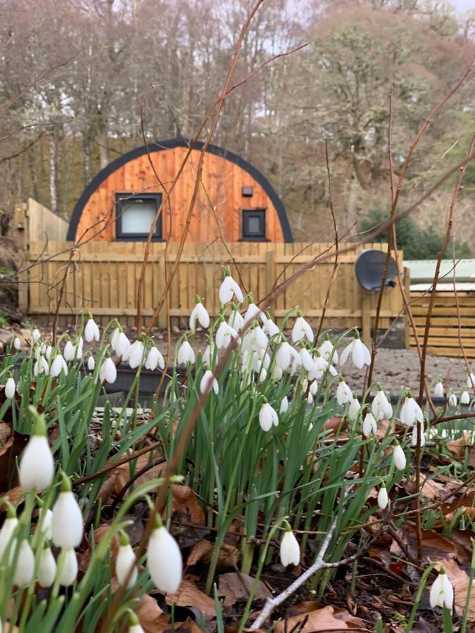 Loch Ness Woodland Pods Otel Drumnadrochit Dış mekan fotoğraf