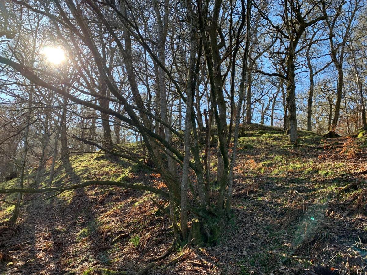 Loch Ness Woodland Pods Otel Drumnadrochit Dış mekan fotoğraf