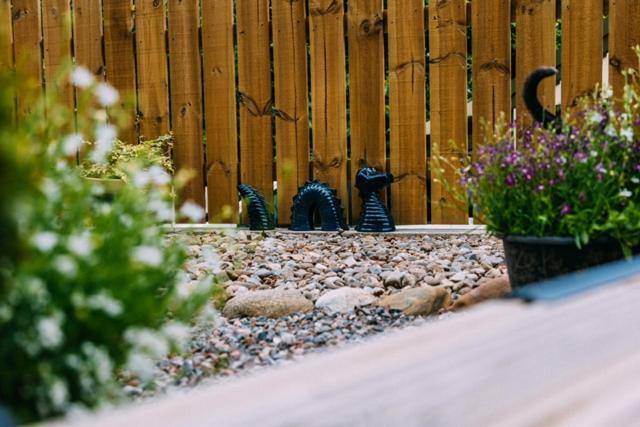 Loch Ness Woodland Pods Otel Drumnadrochit Dış mekan fotoğraf